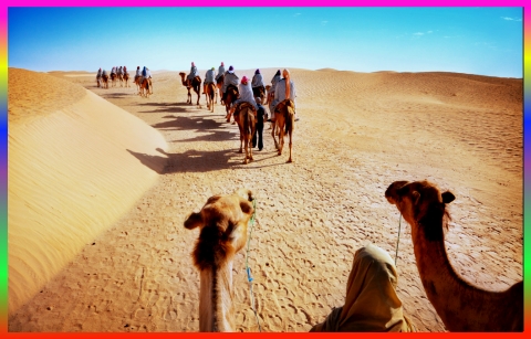 Camel Safari Jaisalmer